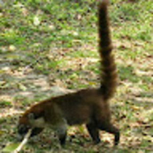 Meet your Posher, Jim